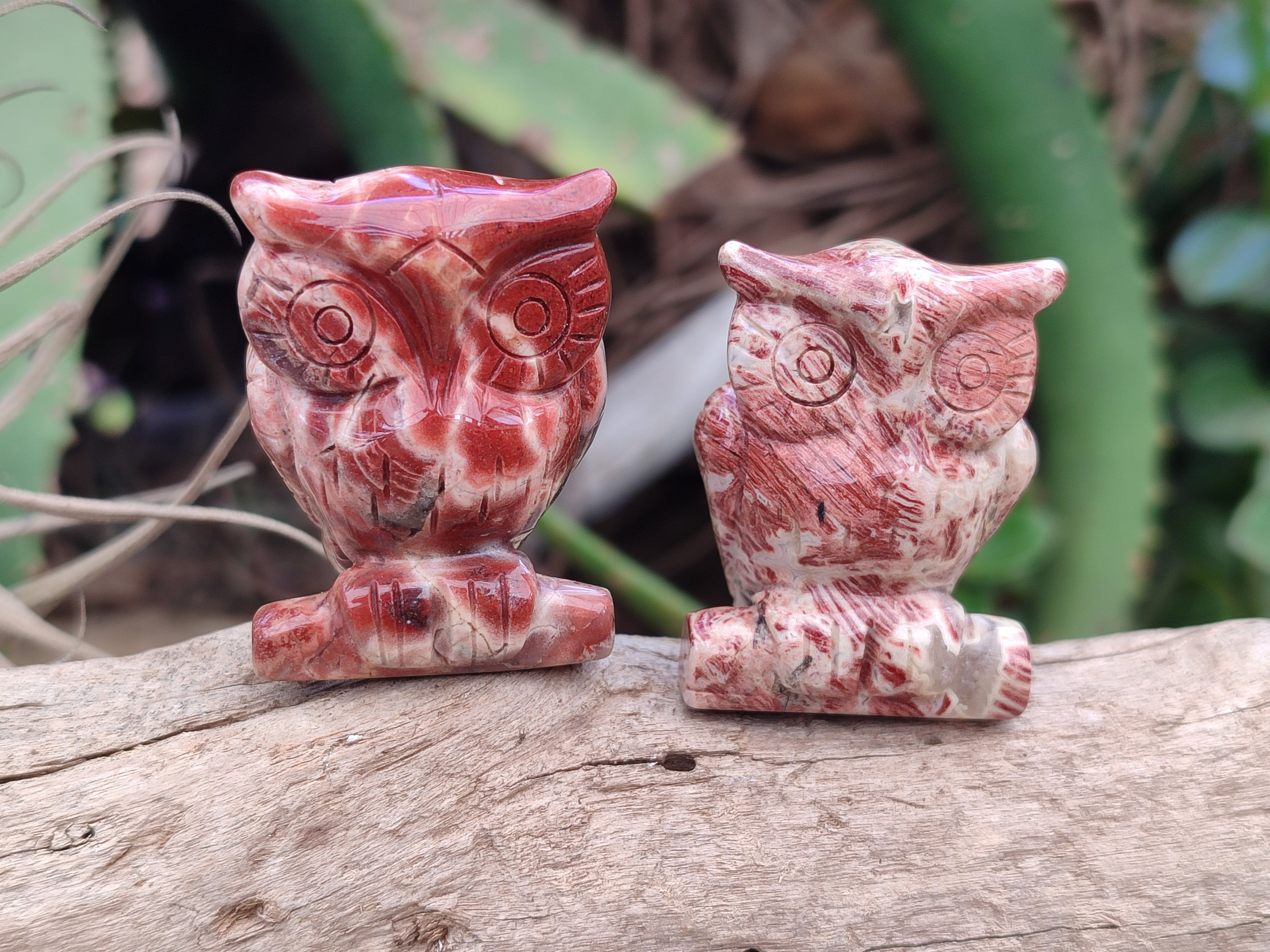 Polished Small Brecciated Jasper Owl Carving - sold per item - From South Africa - Toprock Gemstones and Minerals 