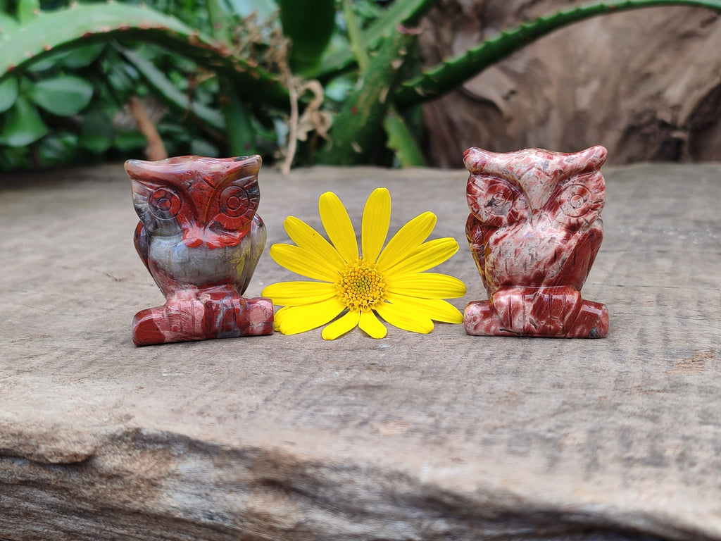 Polished Small Brecciated Jasper Owl Carving - sold per item - From South Africa - Toprock Gemstones and Minerals 
