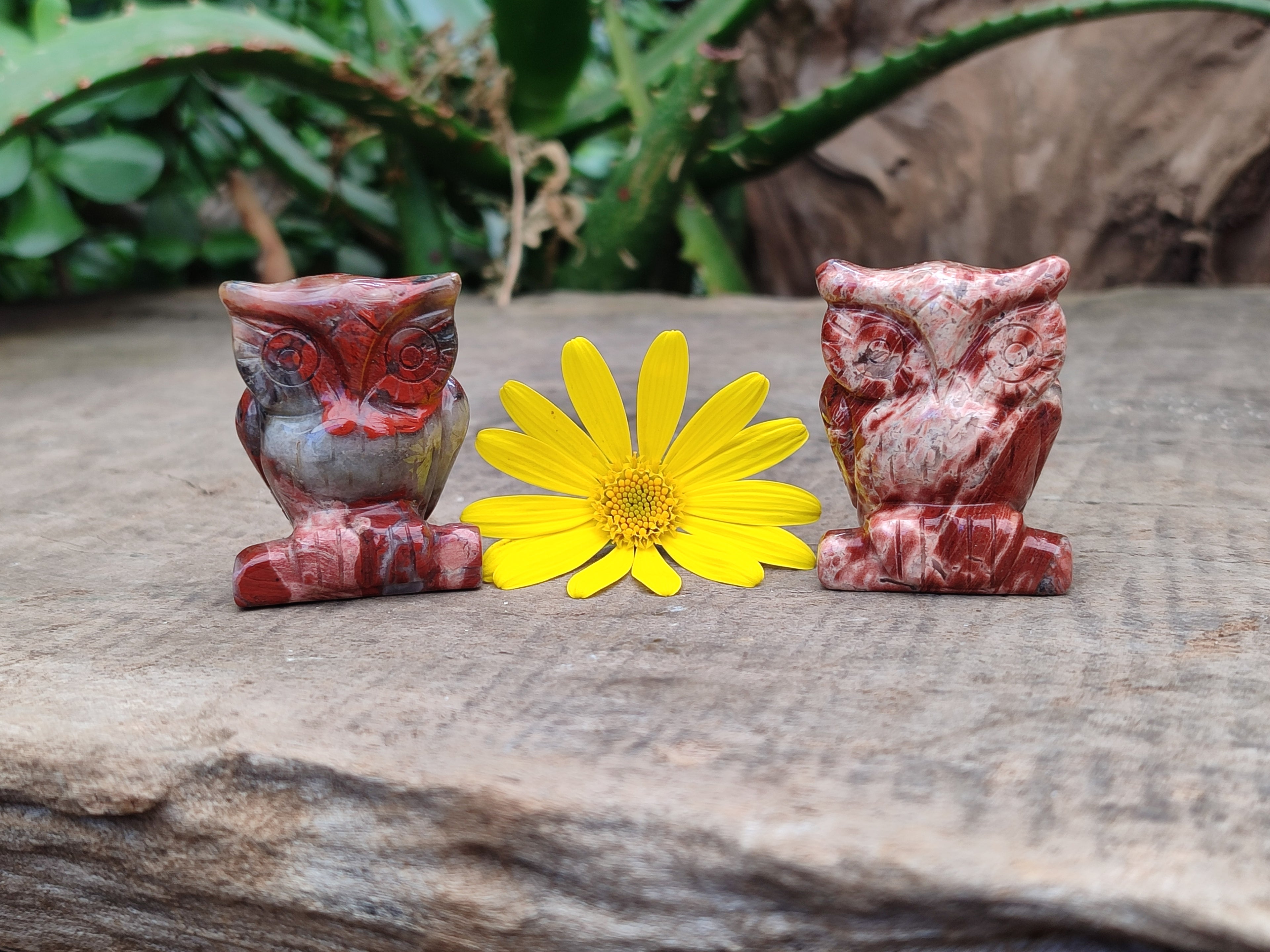 Polished Small Brecciated Jasper Owl Carving - sold per item - From South Africa - Toprock Gemstones and Minerals 