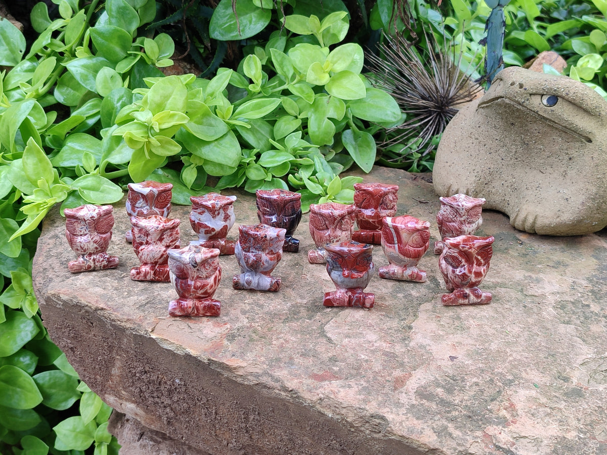 Polished Small Brecciated Jasper Owl Carving - sold per item - From South Africa - Toprock Gemstones and Minerals 