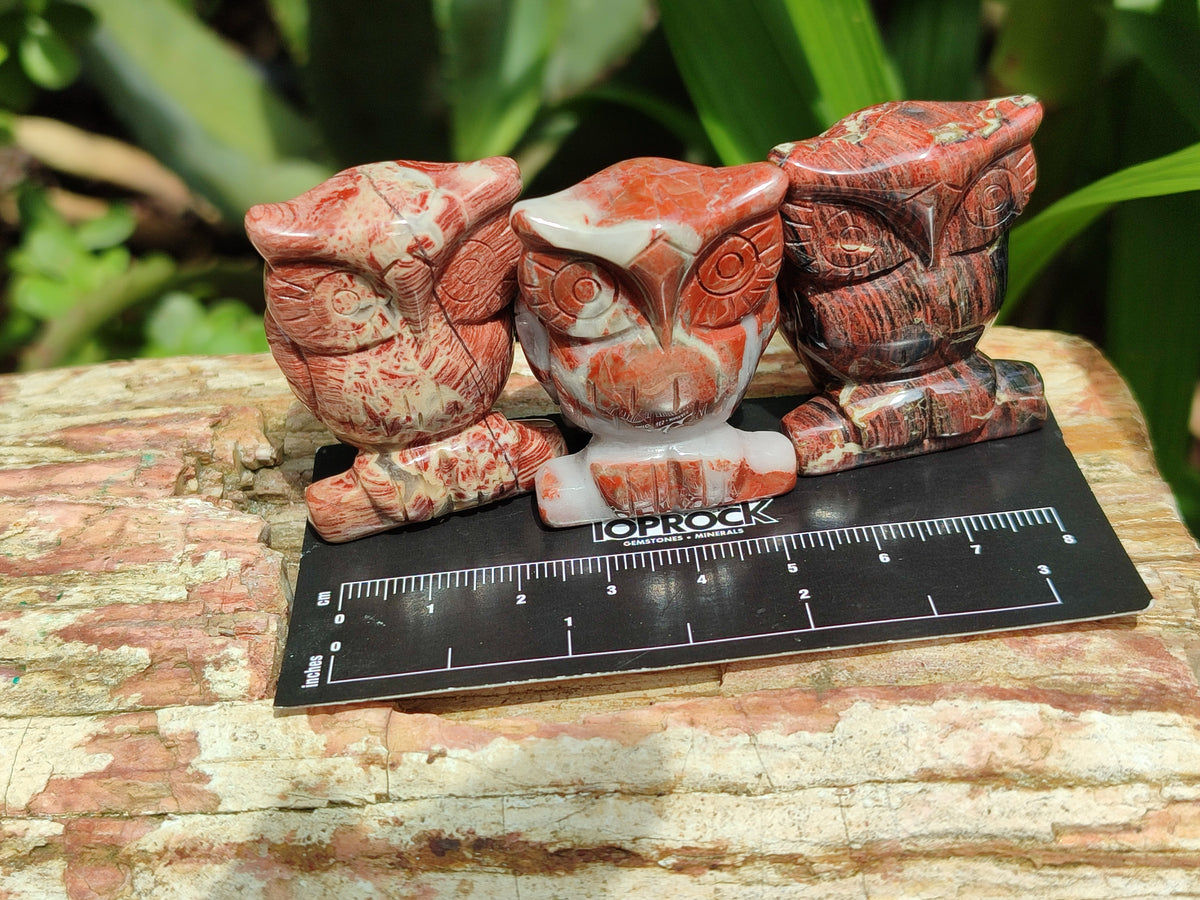 Polished Small Brecciated Jasper Owl Carving - sold per item - From South Africa - Toprock Gemstones and Minerals 