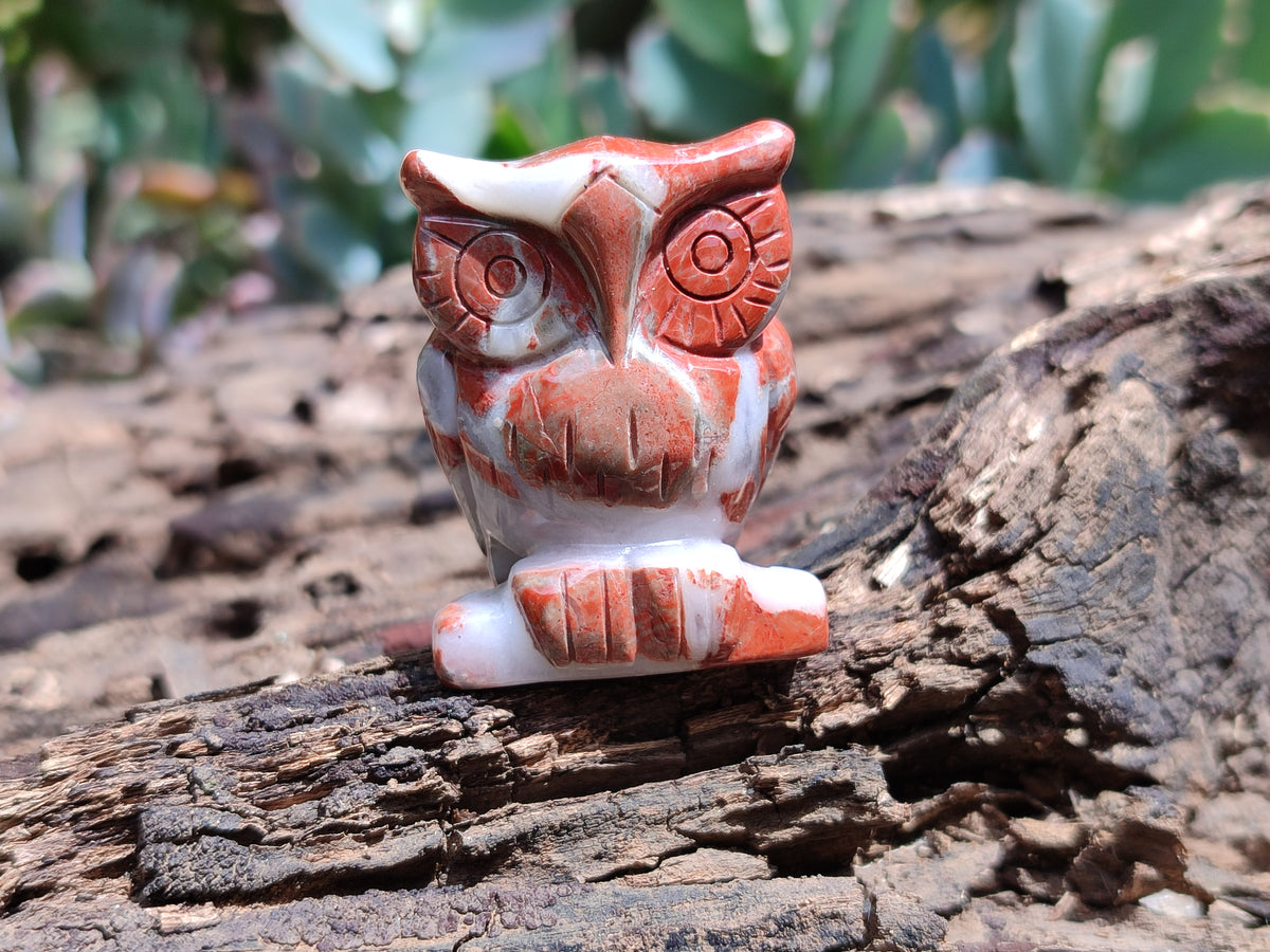 Polished Small Brecciated Jasper Owl Carving - sold per item - From South Africa - Toprock Gemstones and Minerals 