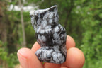 Polished Mini Snowflake Obsidian Owl Carvings - sold per item - From Mexico - Toprock Gemstones and Minerals 