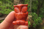 Polished Mini Red Jasper Owl Carvings - sold per item - From South Africa - Toprock Gemstones and Minerals 