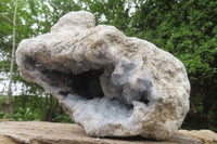 Natural Celestite Geode Specimen x 1 From Sakoany, Madagascar - Toprock Gemstones and Minerals 