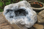 Natural Celestite Geode Specimen x 1 From Sakoany, Madagascar - Toprock Gemstones and Minerals 