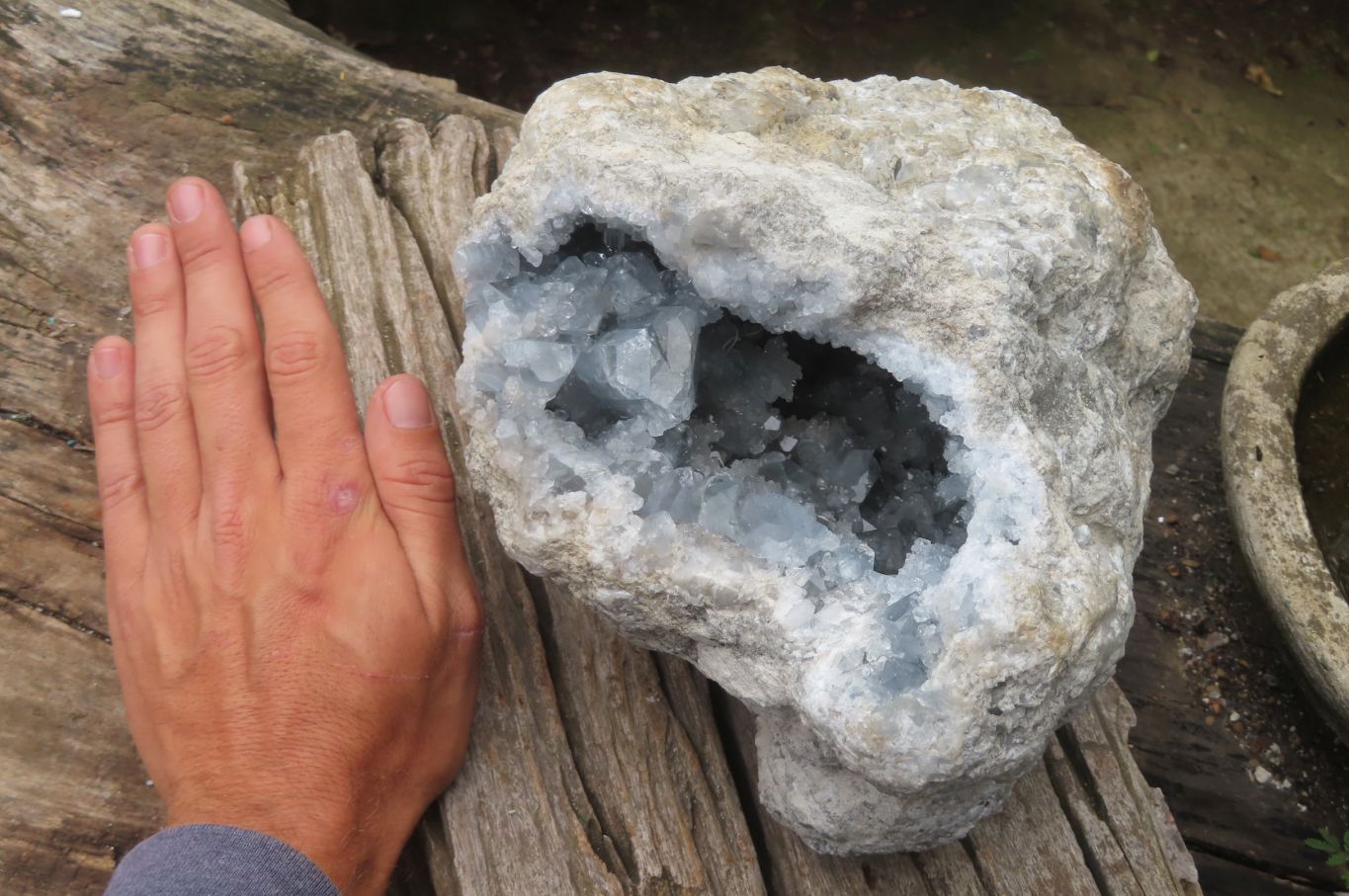 Natural Celestite Geode Specimen x 1 From Sakoany, Madagascar - Toprock Gemstones and Minerals 