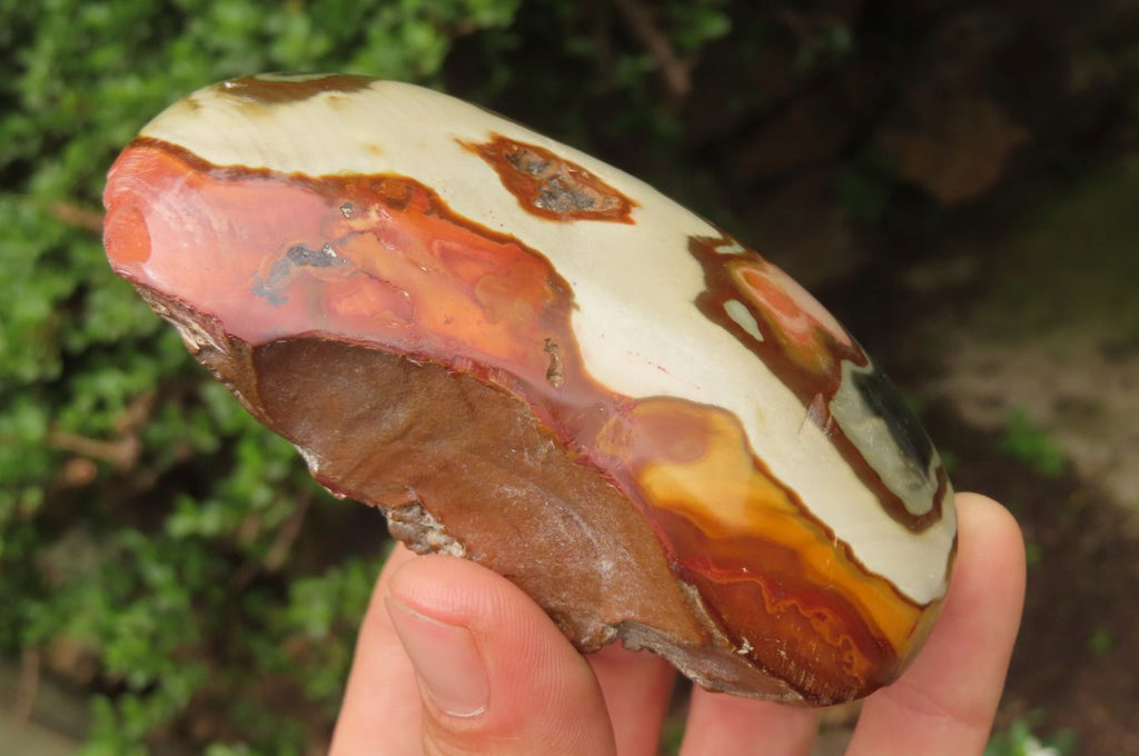 Polished On One Side Polychrome Jasper x 4 From Mahajanga, Madagascar - Toprock Gemstones and Minerals 