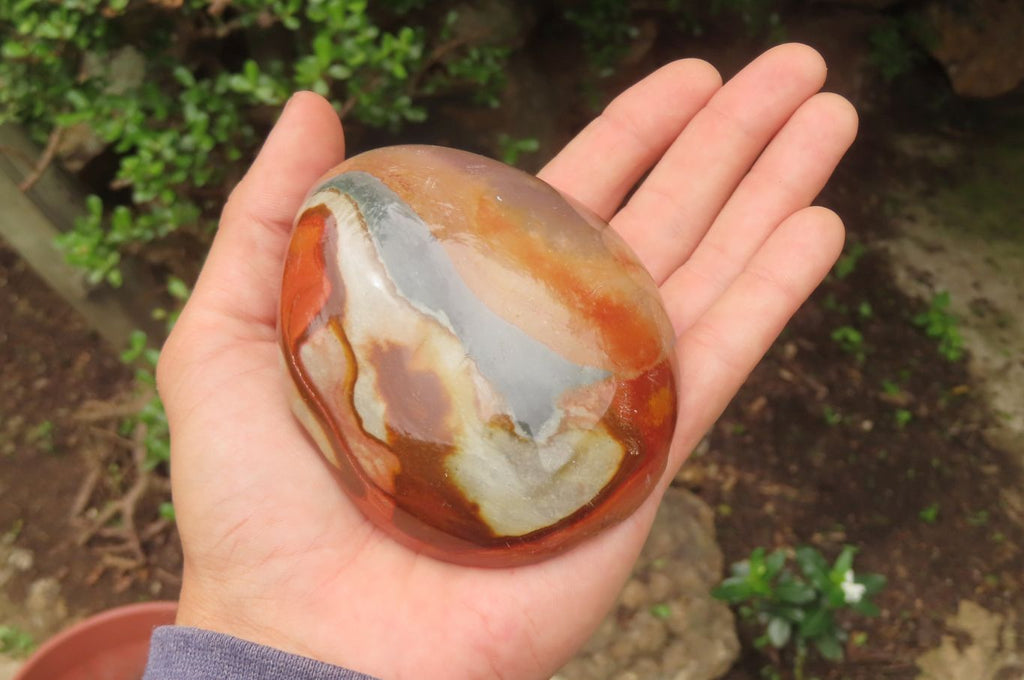 Polished On One Side Polychrome Jasper x 4 From Mahajanga, Madagascar - Toprock Gemstones and Minerals 