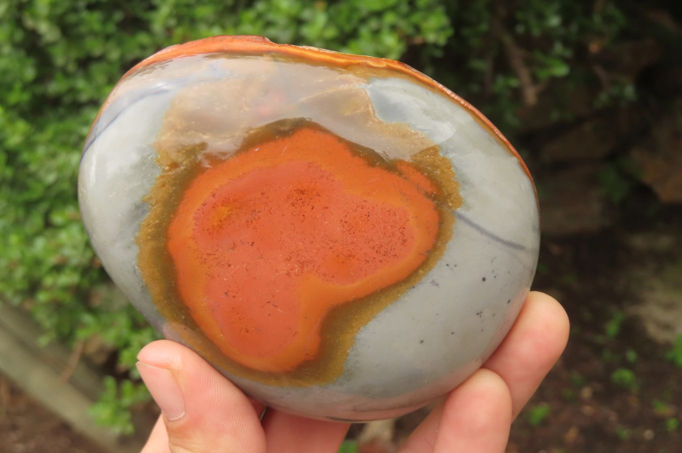 Polished On One Side Polychrome Jasper x 4 From Mahajanga, Madagascar - Toprock Gemstones and Minerals 