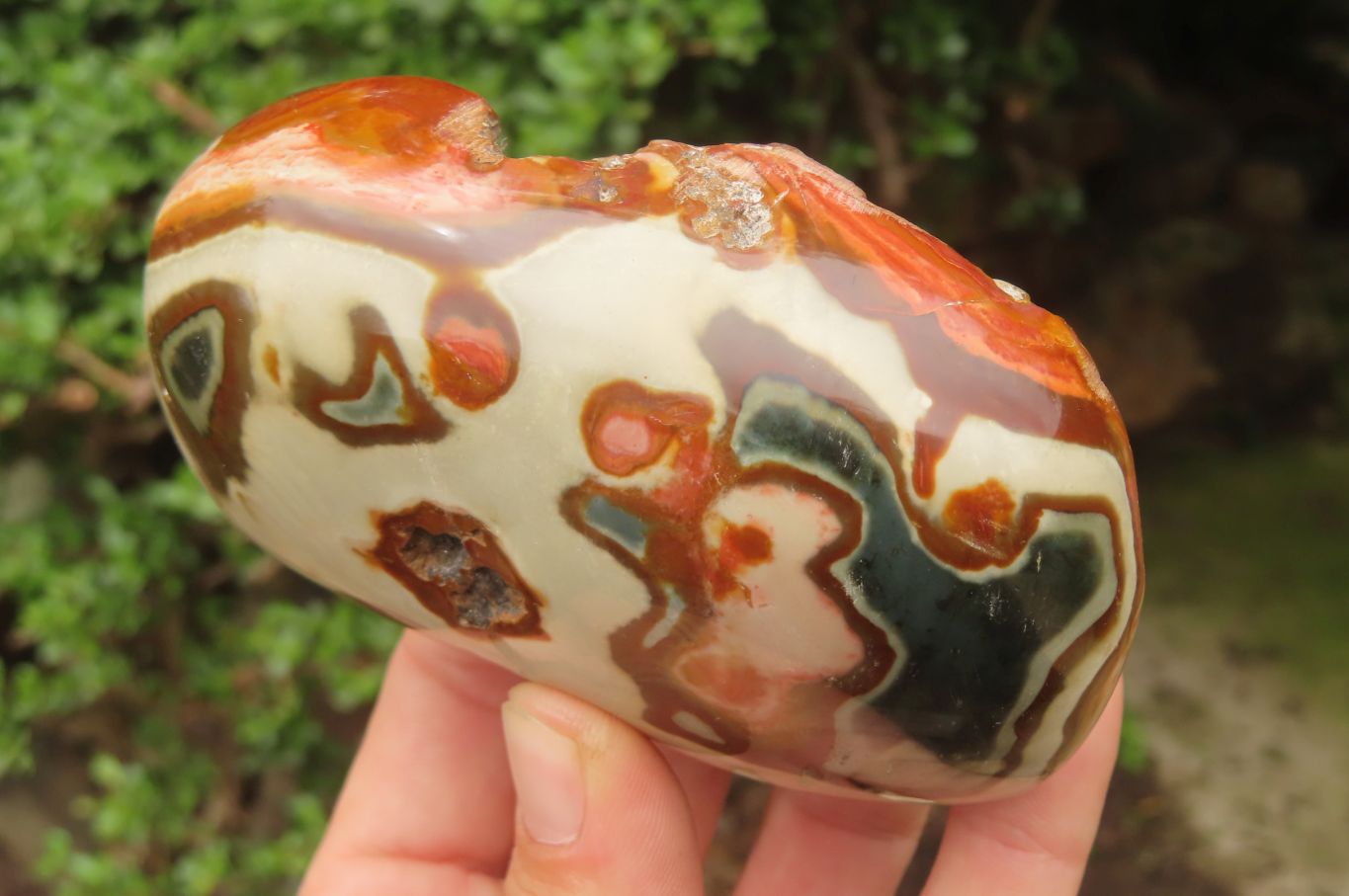 Polished On One Side Polychrome Jasper x 4 From Mahajanga, Madagascar - Toprock Gemstones and Minerals 