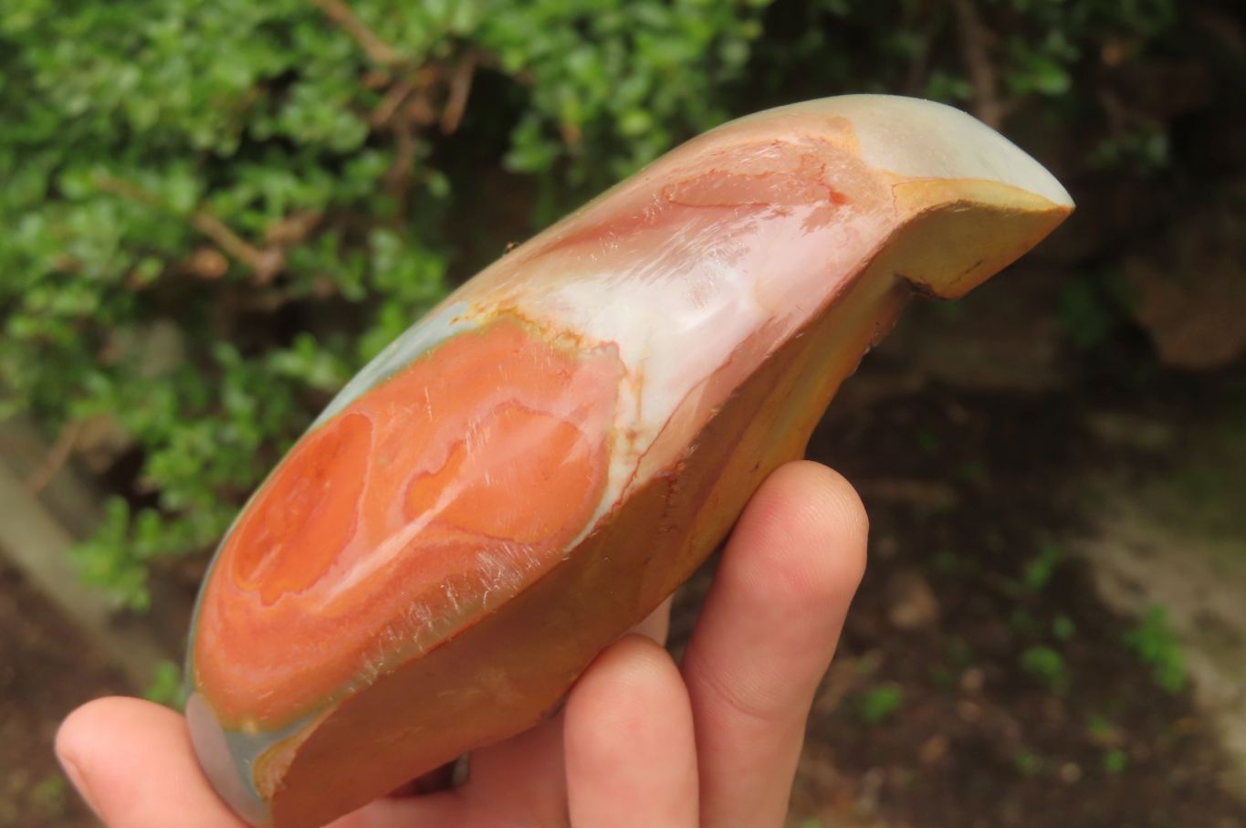 Polished On One Side Polychrome Jasper x 4 From Mahajanga, Madagascar - Toprock Gemstones and Minerals 