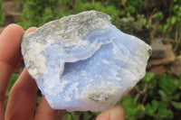 Natural Blue Lace Agate Specimens x 12 From Malawi - Toprock Gemstones and Minerals 
