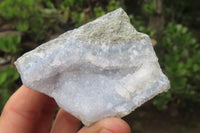 Natural Blue Lace Agate Specimens x 12 From Malawi - Toprock Gemstones and Minerals 
