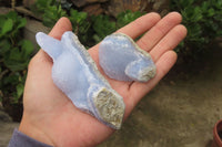 Natural Blue Lace Agate Specimens x 12 From Malawi - Toprock Gemstones and Minerals 