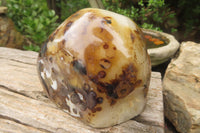 Polished On One Side Dendritic Agate Standing Free Forms x 3 From Madagascar - Toprock Gemstones and Minerals 