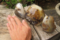 Polished On One Side Dendritic Agate Standing Free Forms x 3 From Madagascar - Toprock Gemstones and Minerals 
