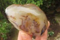 Polished On One Side Dendritic Agate Standing Free Forms x 3 From Madagascar - Toprock Gemstones and Minerals 