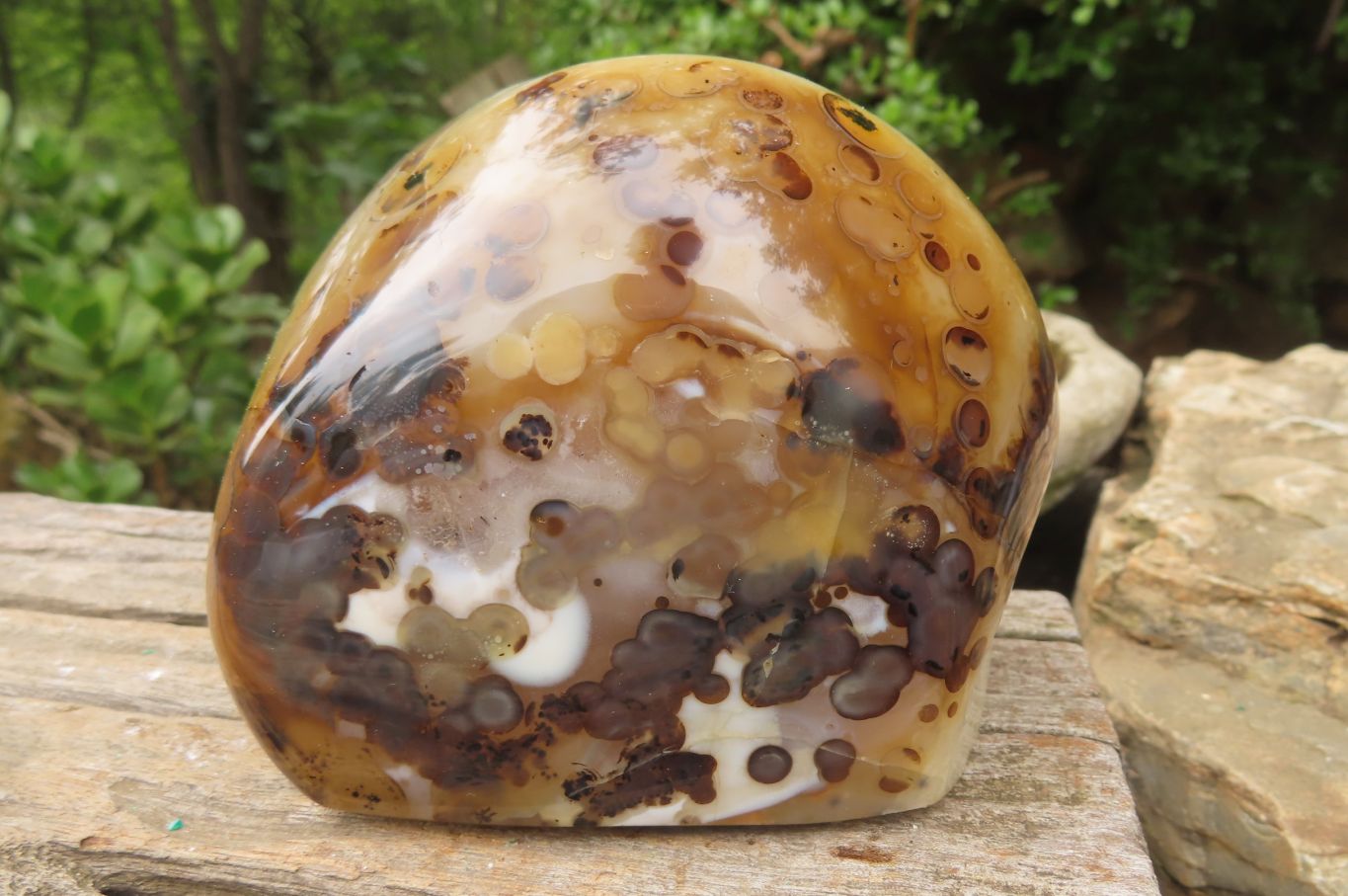 Polished On One Side Dendritic Agate Standing Free Forms x 3 From Madagascar - Toprock Gemstones and Minerals 