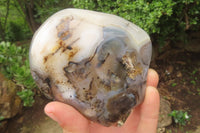 Polished On One Side Dendritic Agate Standing Free Forms x 3 From Madagascar - Toprock Gemstones and Minerals 