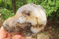 Polished On One Side Dendritic Agate Standing Free Forms x 3 From Madagascar - Toprock Gemstones and Minerals 