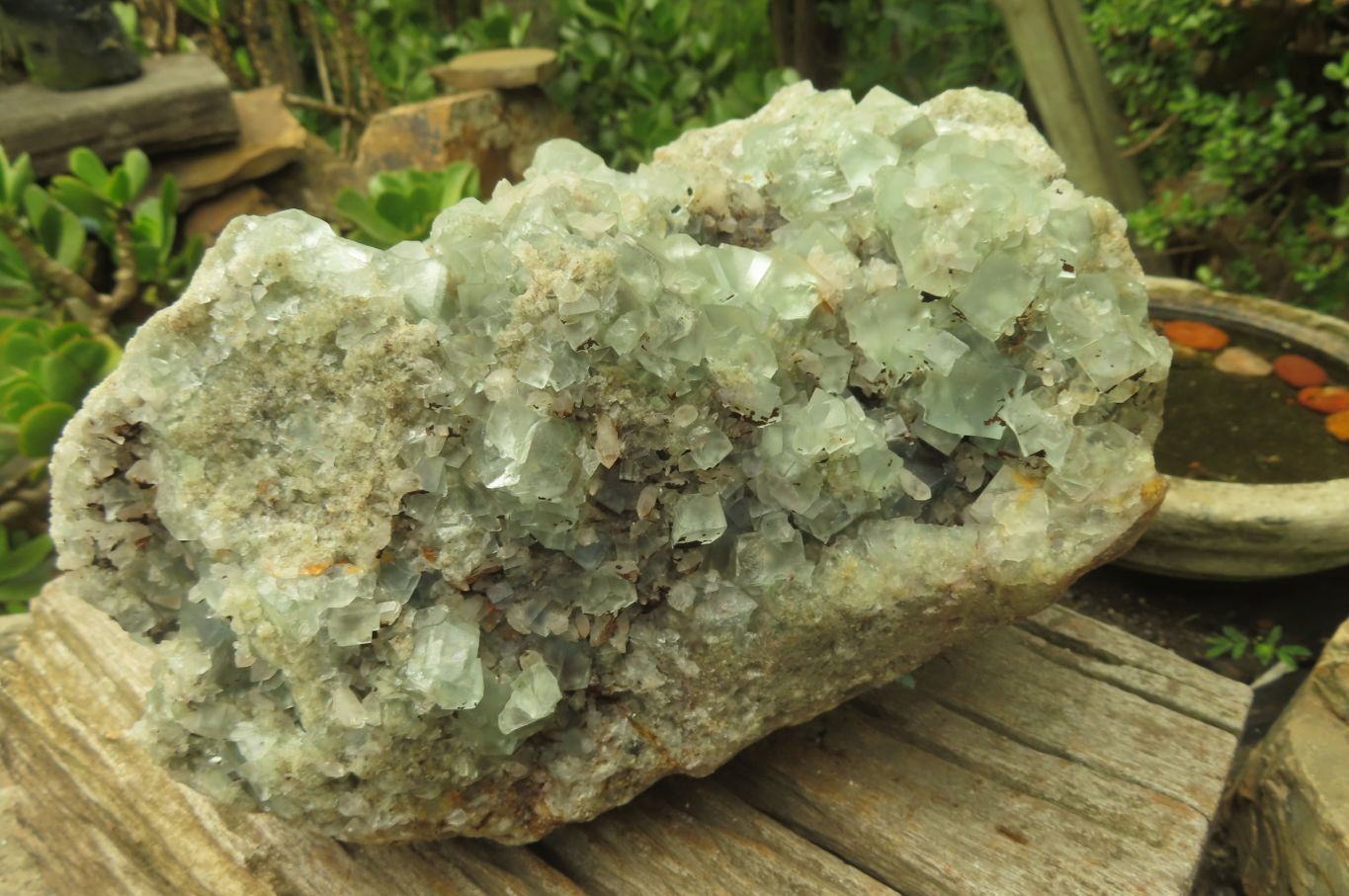 Natural Cubic Fluorite Specimen x 1 From Namibia - Toprock Gemstones and Minerals 