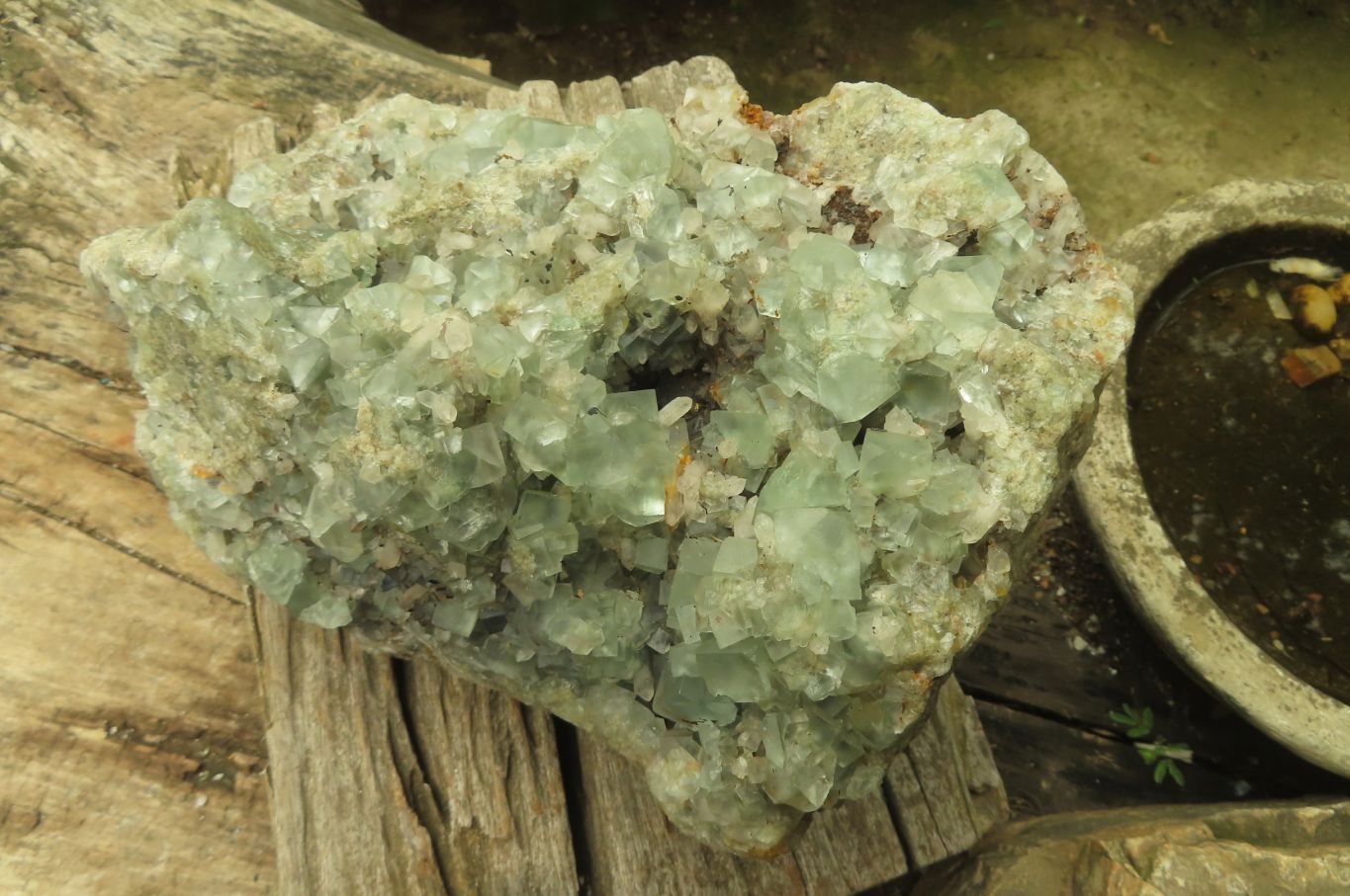 Natural Cubic Fluorite Specimen x 1 From Namibia - Toprock Gemstones and Minerals 