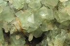 Natural Cubic Fluorite Specimen x 1 From Namibia - Toprock Gemstones and Minerals 