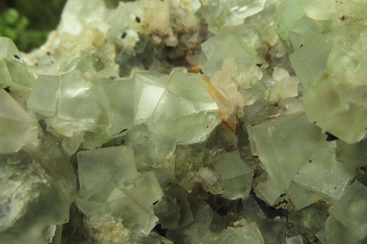 Natural Cubic Fluorite Specimen x 1 From Namibia - Toprock Gemstones and Minerals 