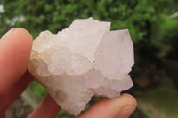 Natural Spirit Quartz Clusters x 16 From Boekenhouthoek, South Africa - Toprock Gemstones and Minerals 