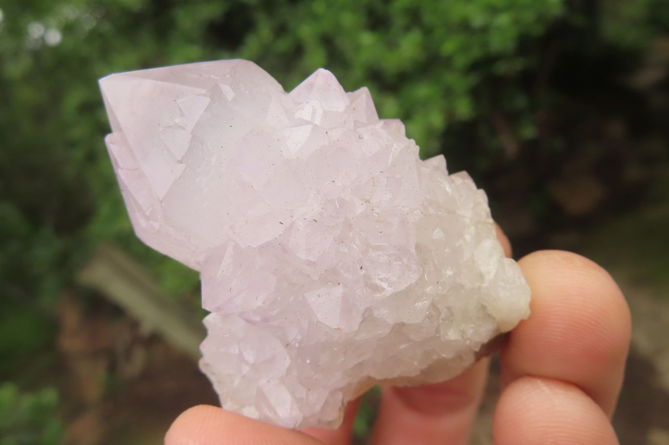 Natural Spirit Quartz Clusters x 16 From Boekenhouthoek, South Africa - Toprock Gemstones and Minerals 