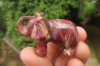 Polished Small Brecciated Jasper Elephant Carving - sold per item - From South Africa - Toprock Gemstones and Minerals 