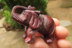 Polished Small Brecciated Jasper Elephant Carving - sold per item - From South Africa - Toprock Gemstones and Minerals 