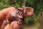 Polished Small Brecciated Jasper Elephant Carving - sold per item - From South Africa - Toprock Gemstones and Minerals 