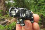 Polished Small Basalt Mint Amygdale Elephant Carving - sold per item - From South Africa - Toprock Gemstones and Minerals 