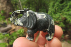 Polished Small Basalt Mint Amygdale Elephant Carving - sold per item - From South Africa - Toprock Gemstones and Minerals 