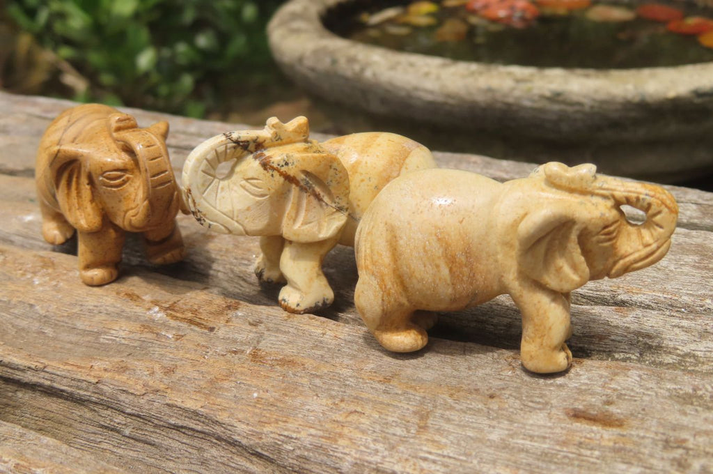Polished Small Namibian Desert Picture Stone Jasper Elephant Carving - sold per item - From Namibia - Toprock Gemstones and Minerals 