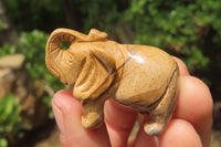 Polished Small Namibian Desert Picture Stone Jasper Elephant Carving - sold per item - From Namibia - Toprock Gemstones and Minerals 