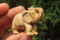 Polished Small Namibian Desert Picture Stone Jasper Elephant Carving - sold per item - From Namibia - Toprock Gemstones and Minerals 