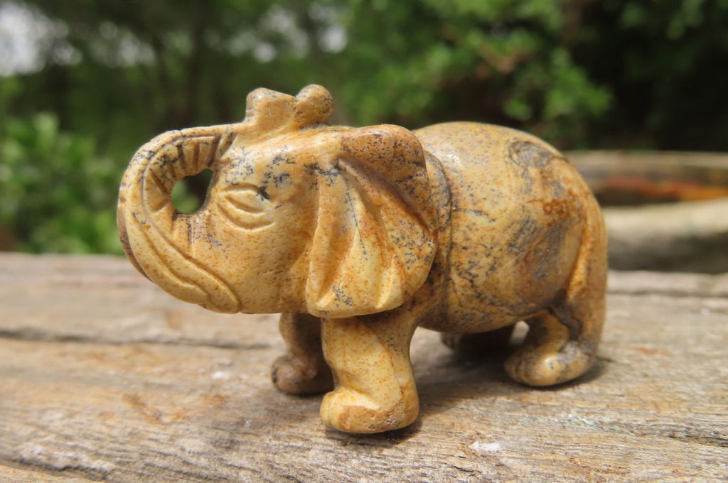 Polished Small Namibian Desert Picture Stone Jasper Elephant Carving - sold per item - From Namibia - Toprock Gemstones and Minerals 