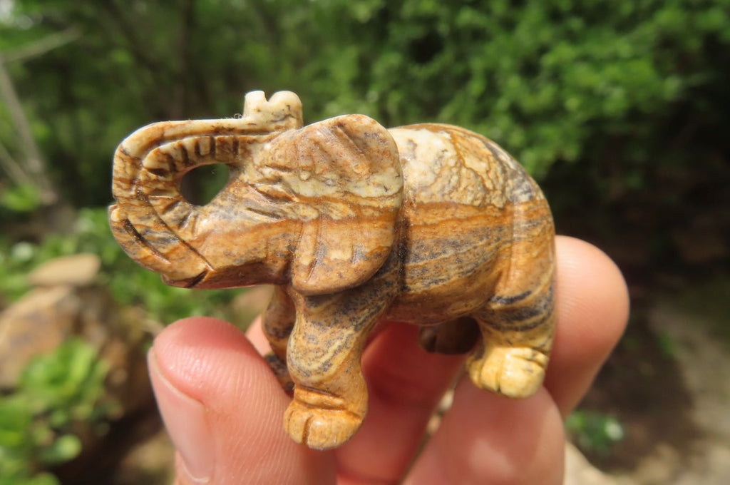 Polished Small Namibian Desert Picture Stone Jasper Elephant Carving - sold per item - From Namibia - Toprock Gemstones and Minerals 