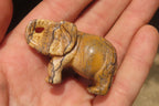 Polished Small Namibian Desert Picture Stone Jasper Elephant Carving - sold per item - From Namibia - Toprock Gemstones and Minerals 