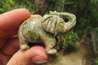 Polished Small Unakite Elephant Carving - sold per item - From South Africa - Toprock Gemstones and Minerals 
