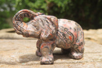 Polished Small Snakeskin Rhyolite Jasper Elephant Carving - sold per item - From Australia - Toprock Gemstones and Minerals 