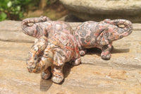 Polished Small Snakeskin Rhyolite Jasper Elephant Carving - sold per item - From Australia - Toprock Gemstones and Minerals 