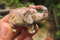 Polished Small Snakeskin Rhyolite Jasper Elephant Carving - sold per item - From Australia - Toprock Gemstones and Minerals 
