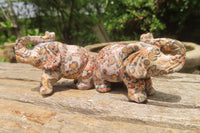 Polished Small Snakeskin Rhyolite Jasper Elephant Carving - sold per item - From Australia - Toprock Gemstones and Minerals 