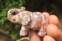 Polished Small Snakeskin Rhyolite Jasper Elephant Carving - sold per item - From Australia - Toprock Gemstones and Minerals 