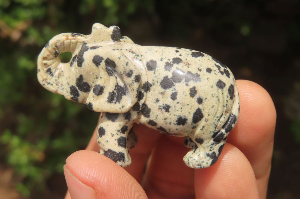 Polished Small Dalmatian Jasper Elephant Carving - sold per item - From Mexico - Toprock Gemstones and Minerals 