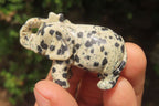 Polished Small Dalmatian Jasper Elephant Carving - sold per item - From Mexico - Toprock Gemstones and Minerals 